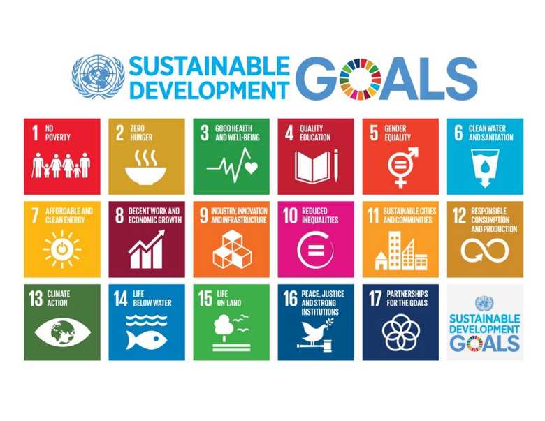 SDG infographic